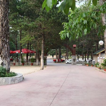 Hamiti Camping Center Dukat Exteriér fotografie