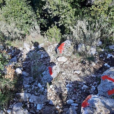 Hamiti Camping Center Dukat Exteriér fotografie