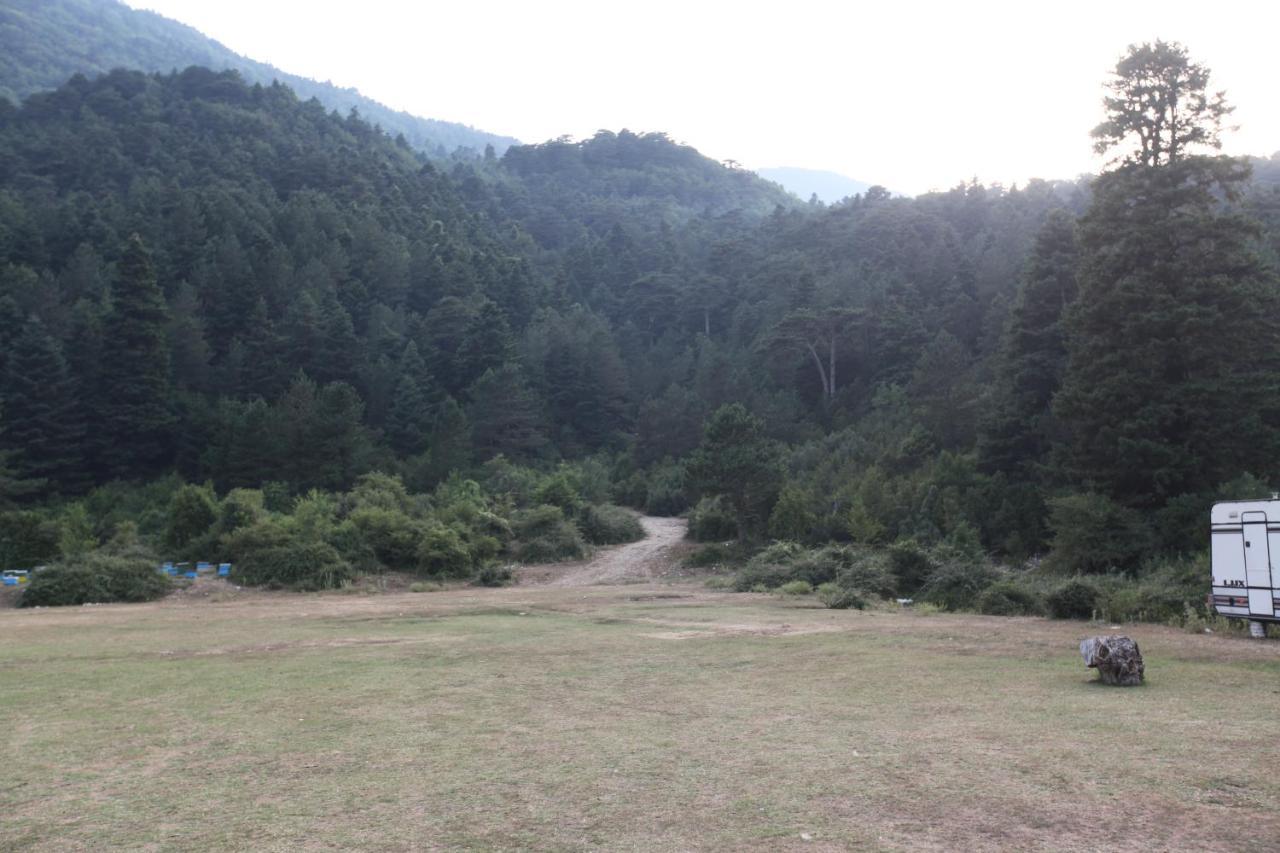 Hamiti Camping Center Dukat Exteriér fotografie