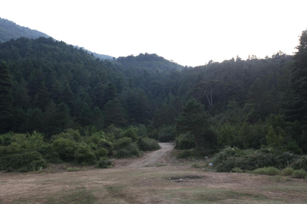 Hamiti Camping Center Dukat Exteriér fotografie