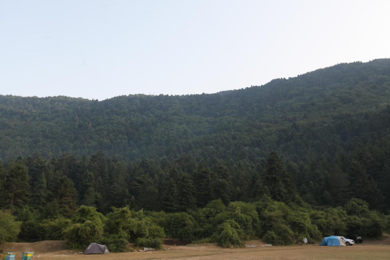 Hamiti Camping Center Dukat Exteriér fotografie