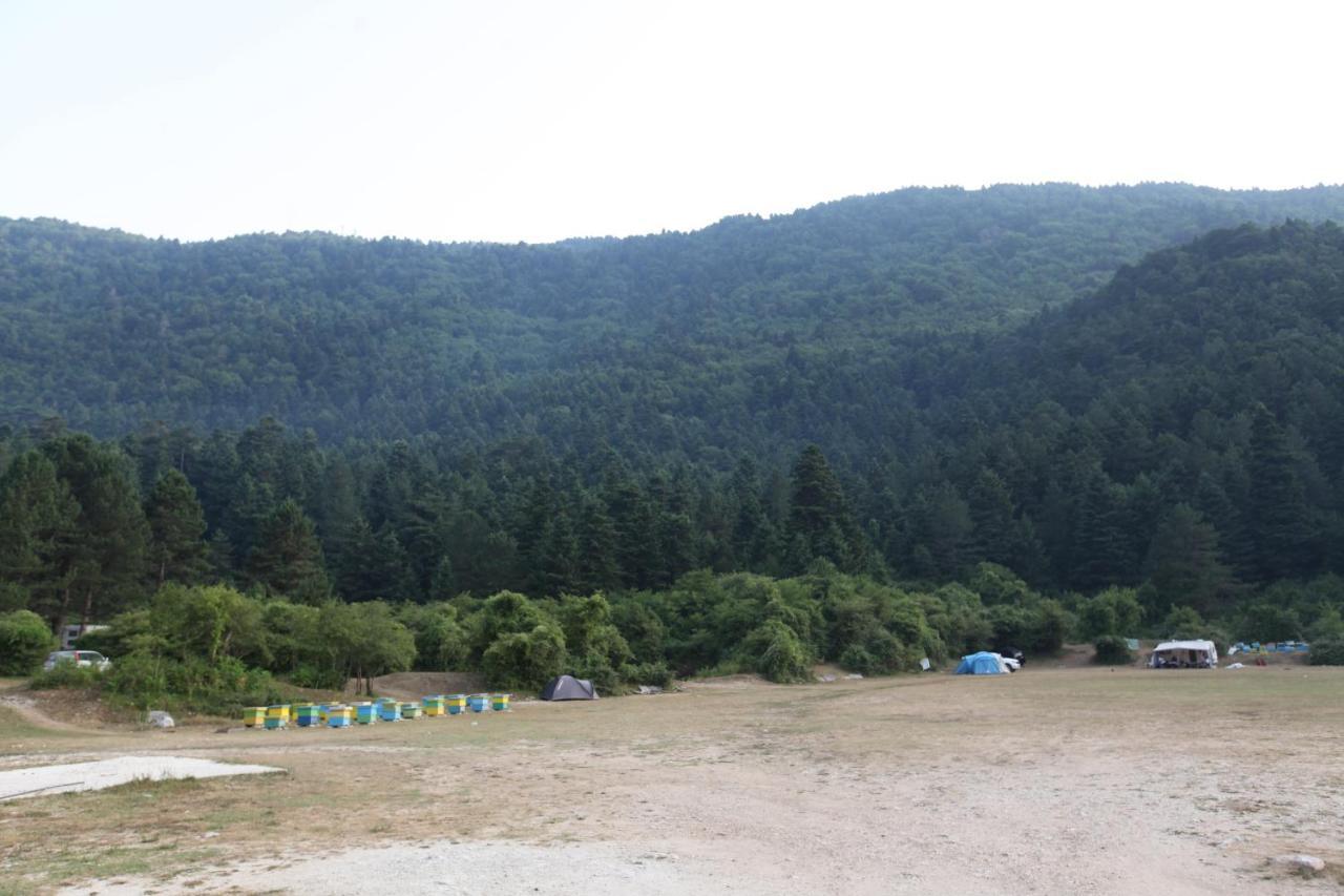 Hamiti Camping Center Dukat Exteriér fotografie