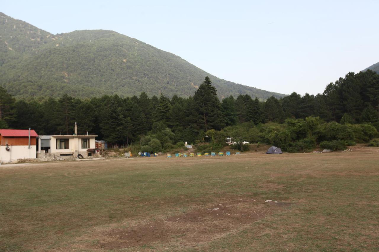 Hamiti Camping Center Dukat Exteriér fotografie